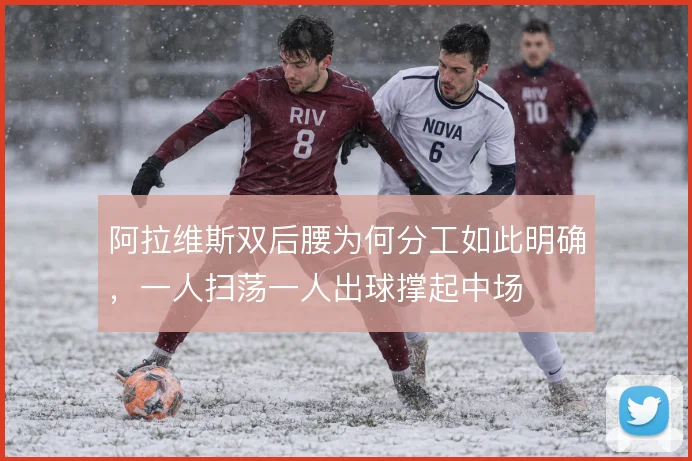 阿拉维斯双后腰为何分工如此明确，一人扫荡一人出球撑起中场