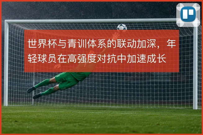世界杯与青训体系的联动加深，年轻球员在高强度对抗中加速成长