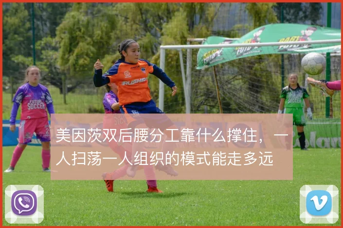 美因茨双后腰分工靠什么撑住，一人扫荡一人组织的模式能走多远