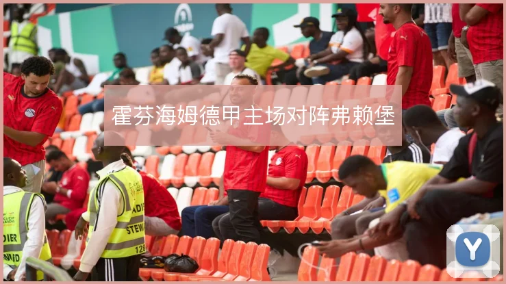 霍芬海姆德甲主场对阵弗赖堡